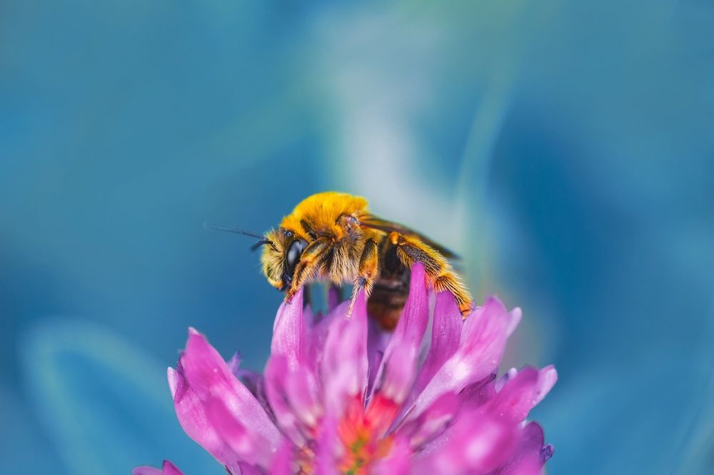 Photograph by Александр Молотков