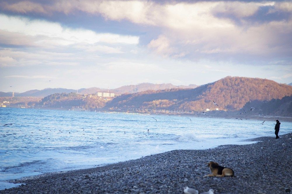 Photograph by Екатерина Рябинина