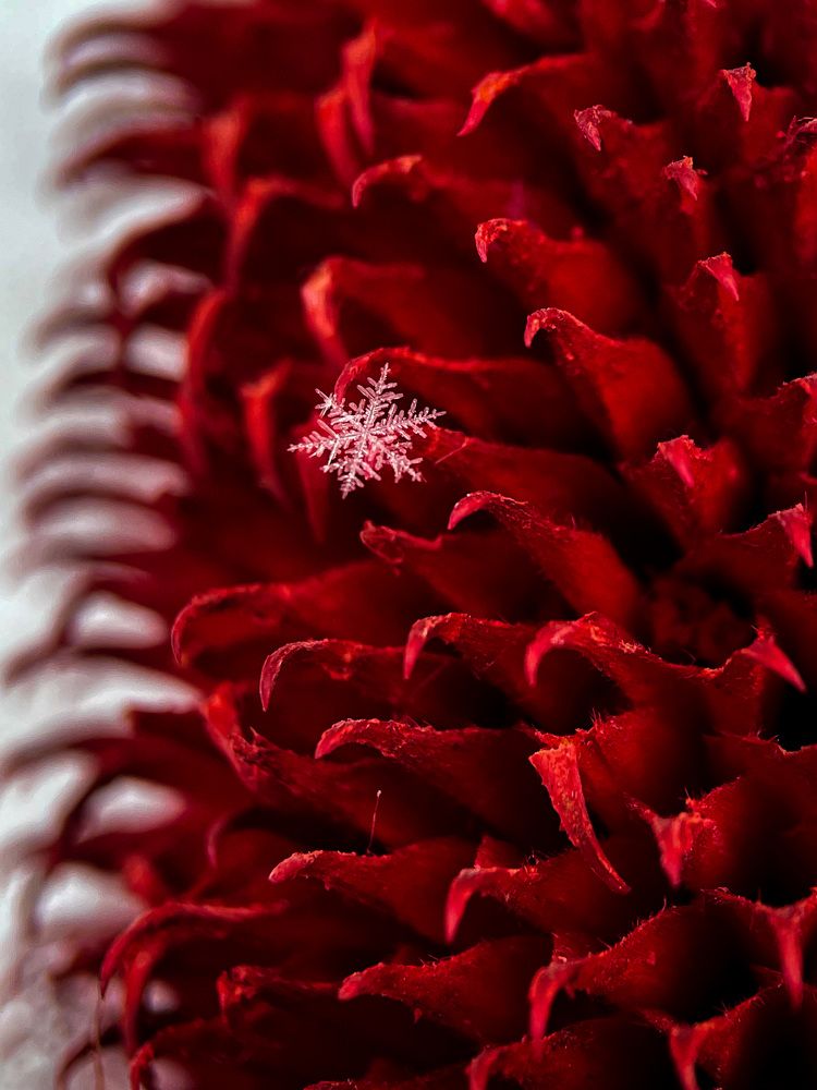 Фотография автора Рамзия Хисамутдинова