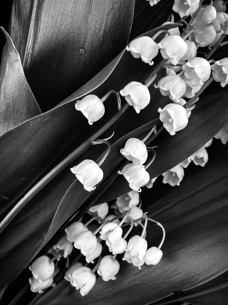 Фотография автора Рамзия Хисамутдинова