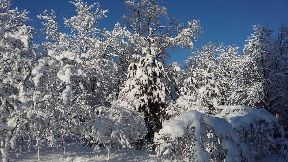 Photograph by Yuliya Durneva