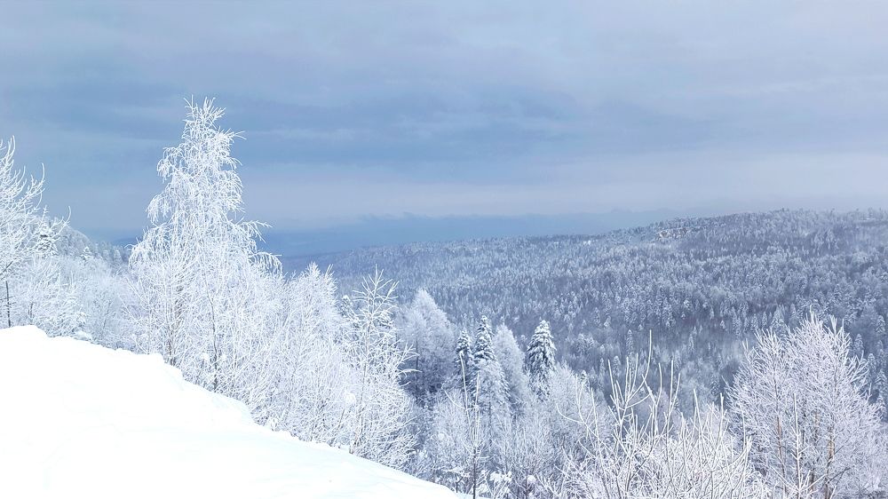 Photograph by Виталий Мартынов