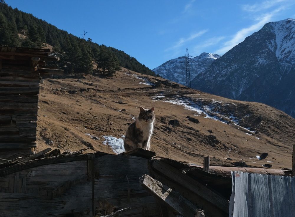 Photograph by Виктор Чернышов