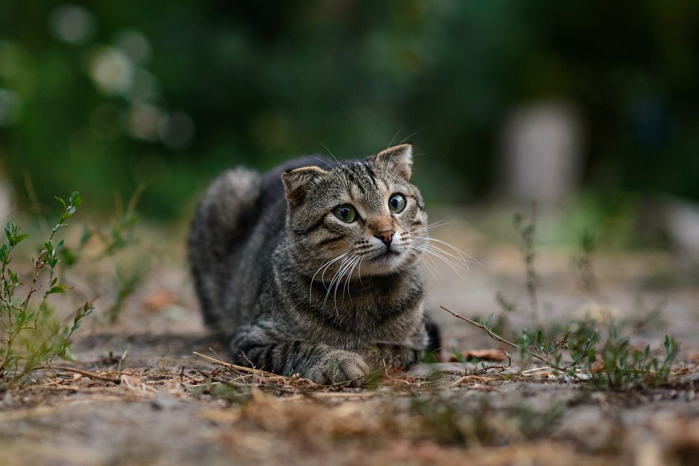 Photograph by Ида Зубова