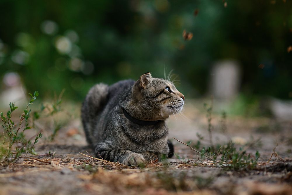 Photograph by Ида Зубова