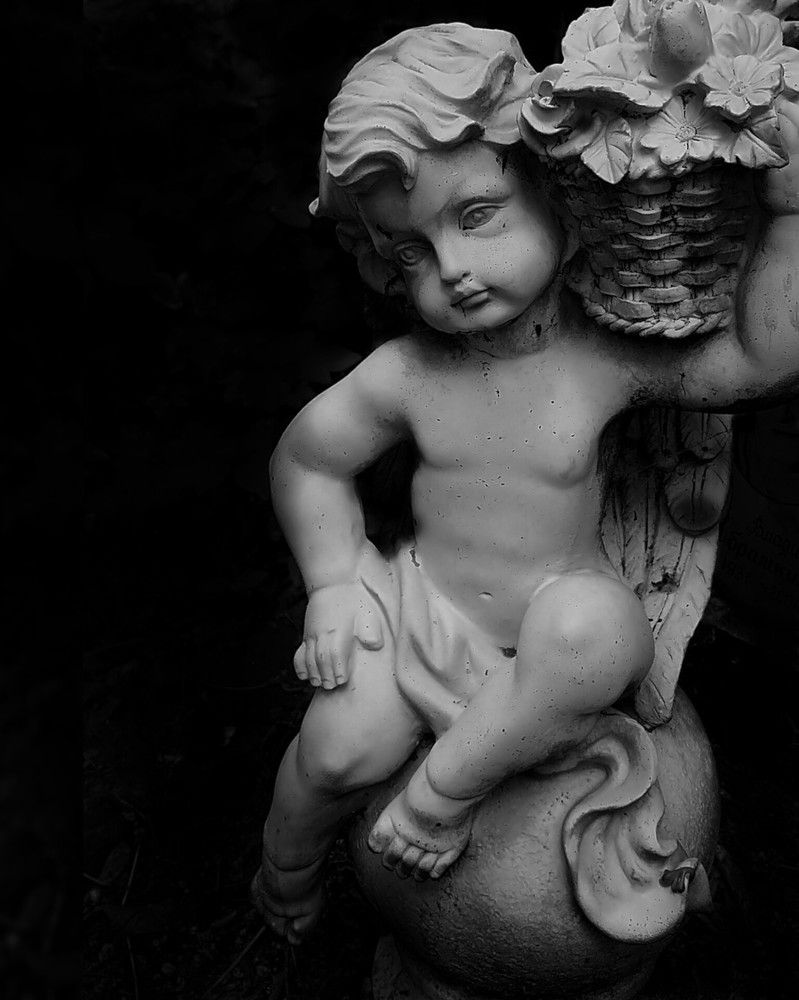 Photograph by Дарья Макаревич