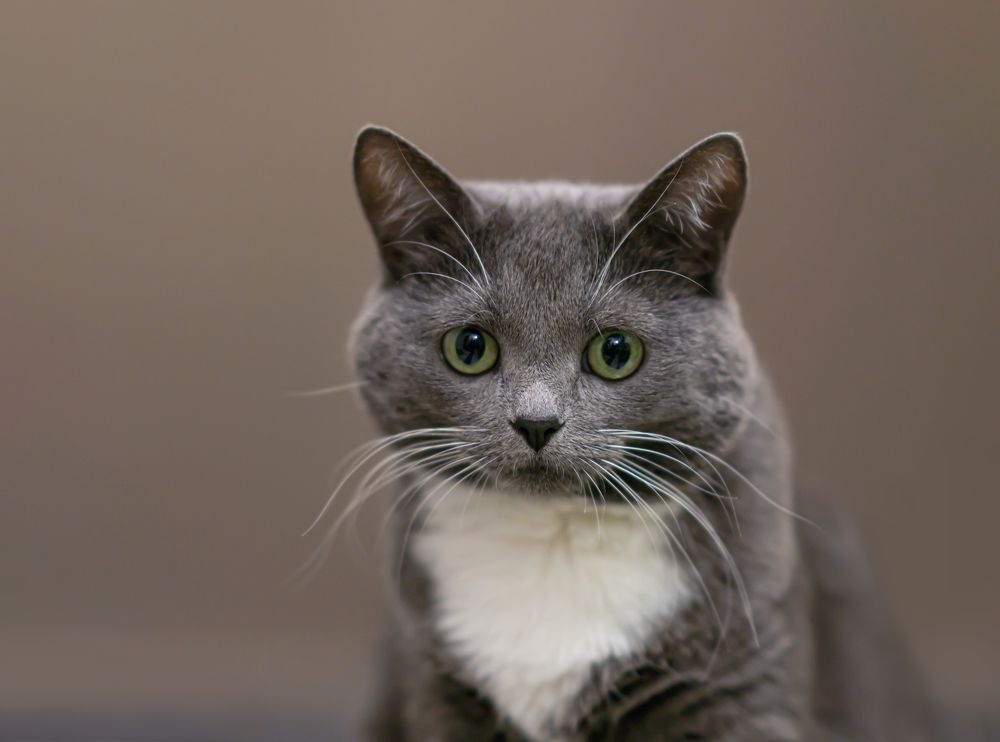 О чем ты думаешь?