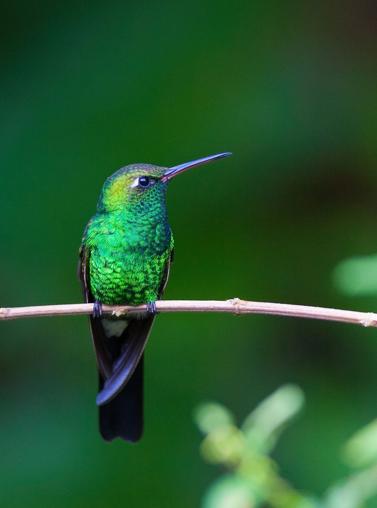 Photograph by Власов Егор