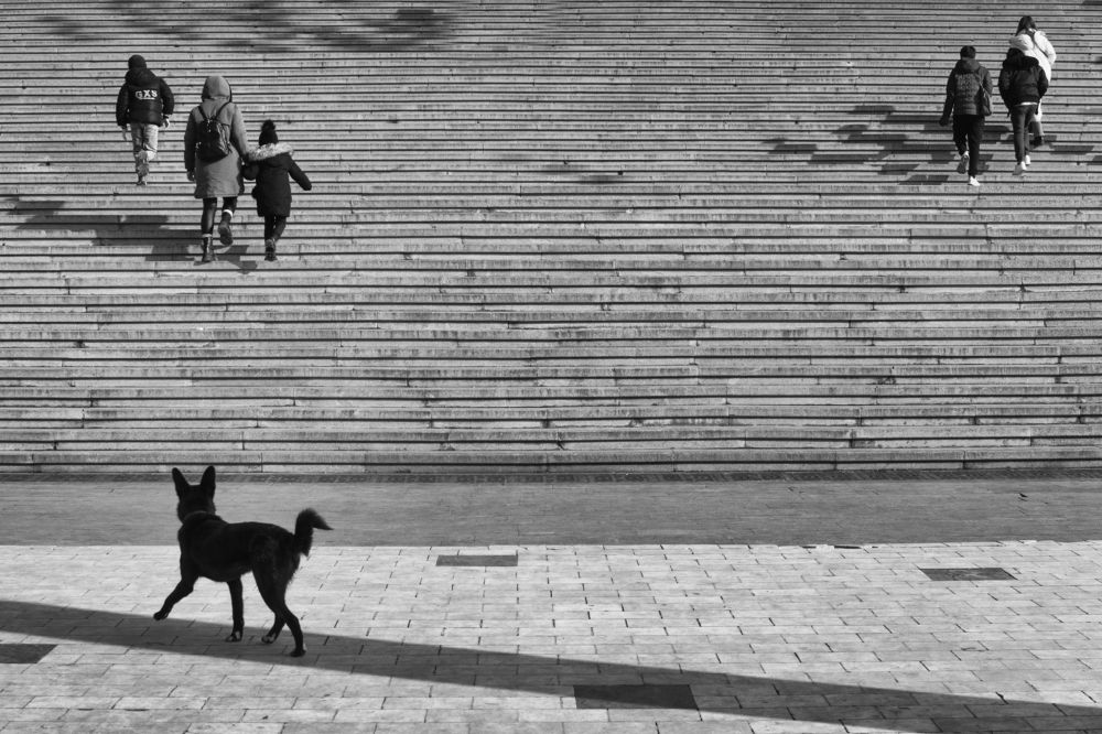 Фотография автора Алена