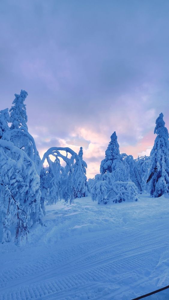 Photograph by Speed Girl