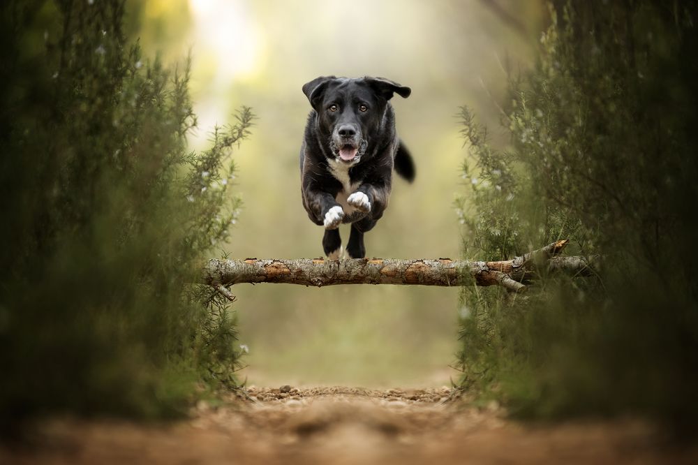 Фотография автора Rut Casanellas