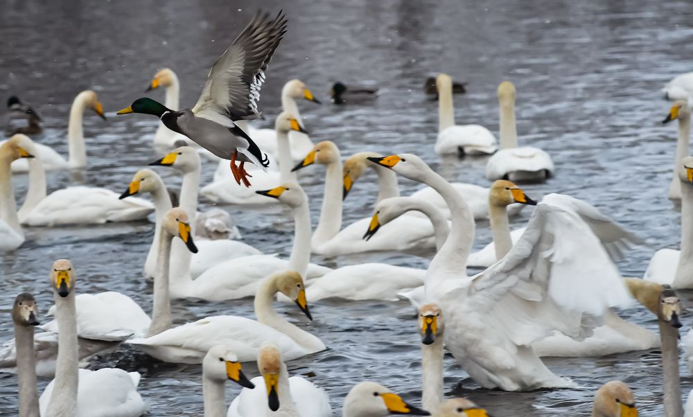 Photograph by Юрий