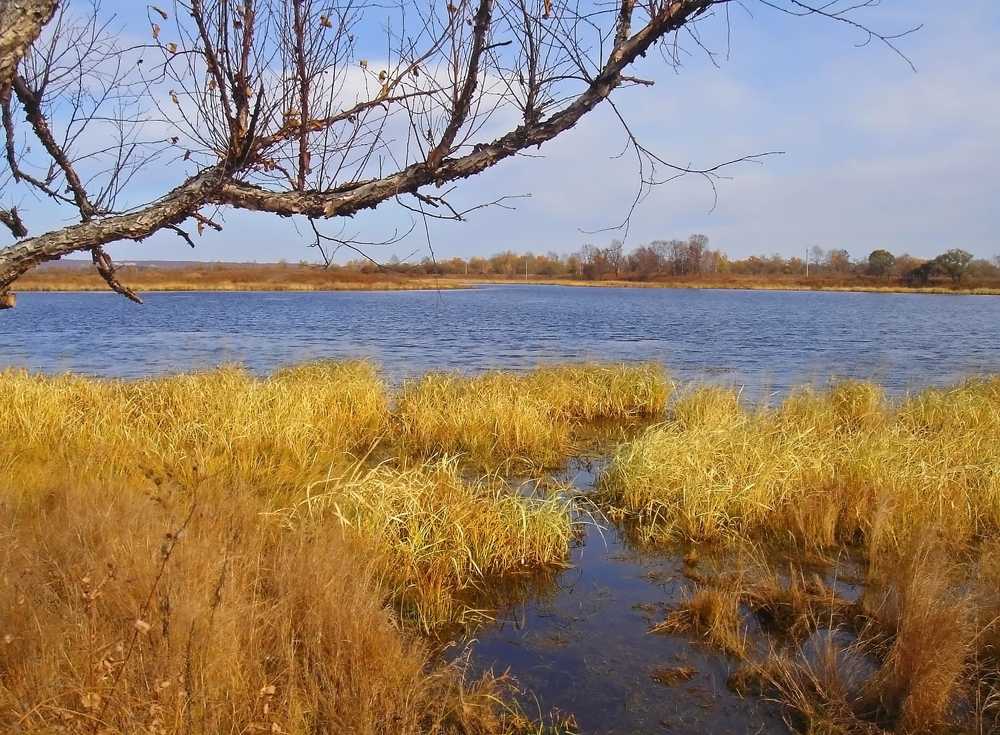 Photograph by Иван Крылов