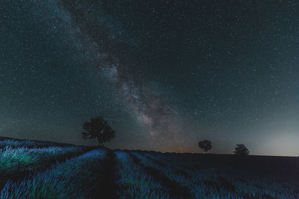 Photograph by Dinesh Umagiliya