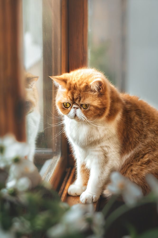 Photograph by Сивенок Елена