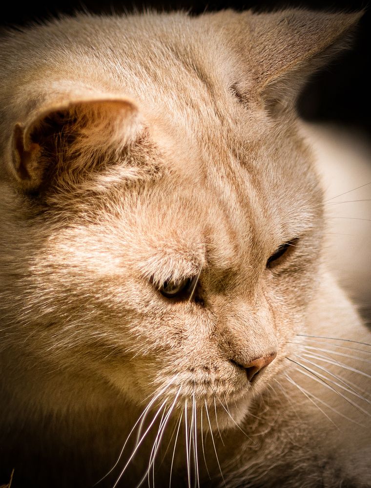 Photograph by Виктория Янушанис