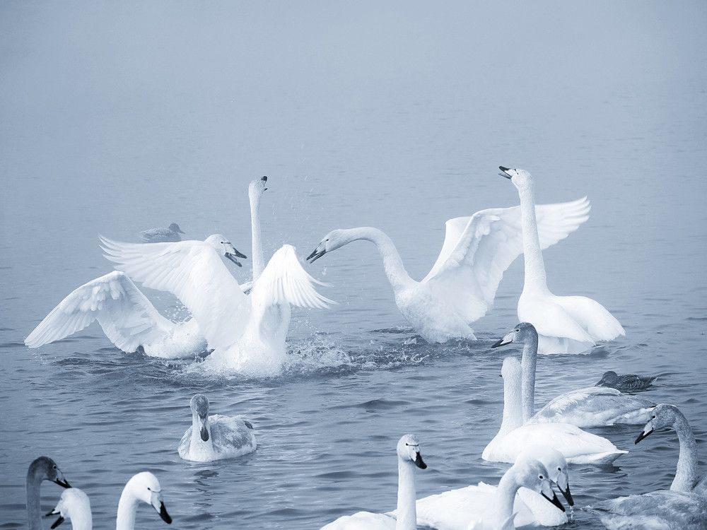 Photograph by Евгения Новоселова