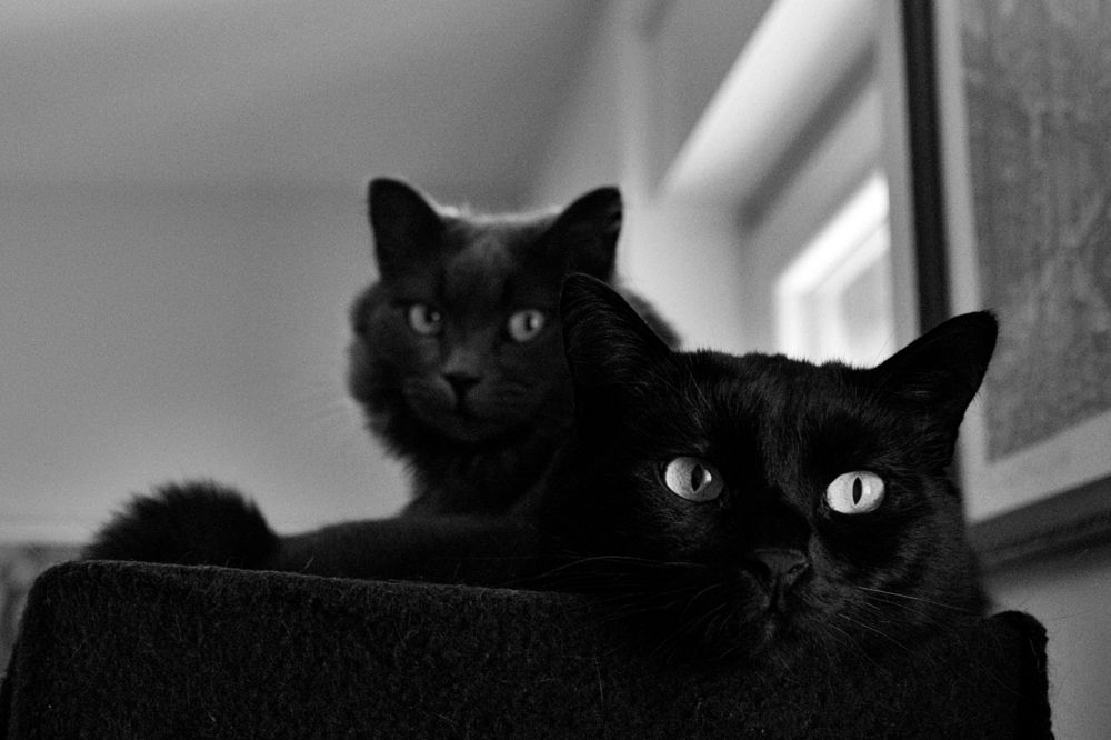 Photograph by Lothar Boris Piltz