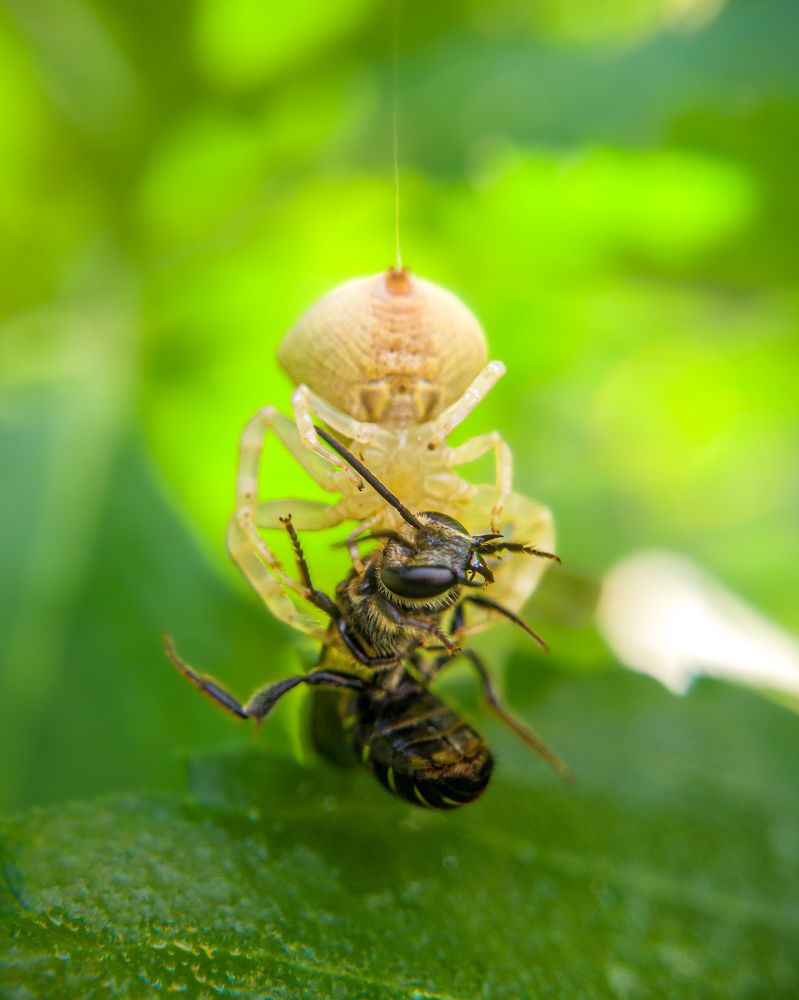 Photograph by Arjun Unnikrishnan