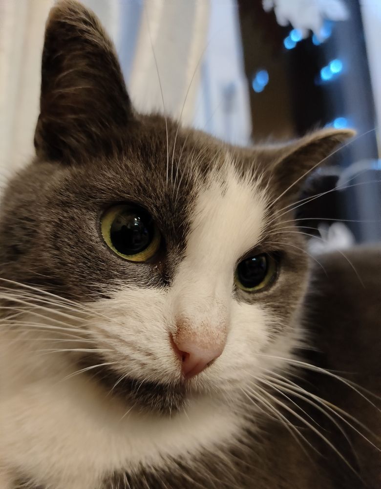 Photograph by Александр Жигульский