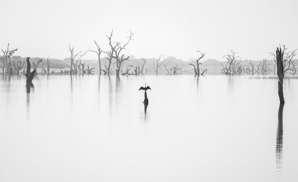 Photograph by Маркелов Андрей