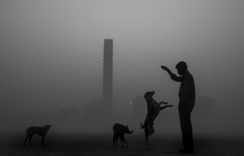 Фотография автора Ritwik Ray