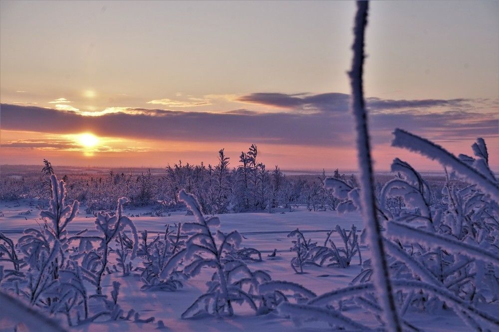 Photograph by Шашков Алексей