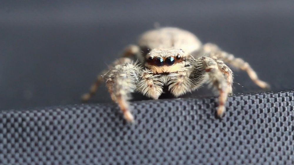 Photograph by Мария Мельникова