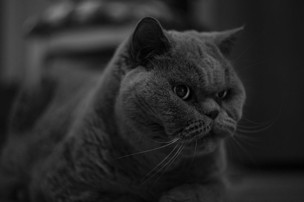 Photograph by Владимир Гвоздецкий