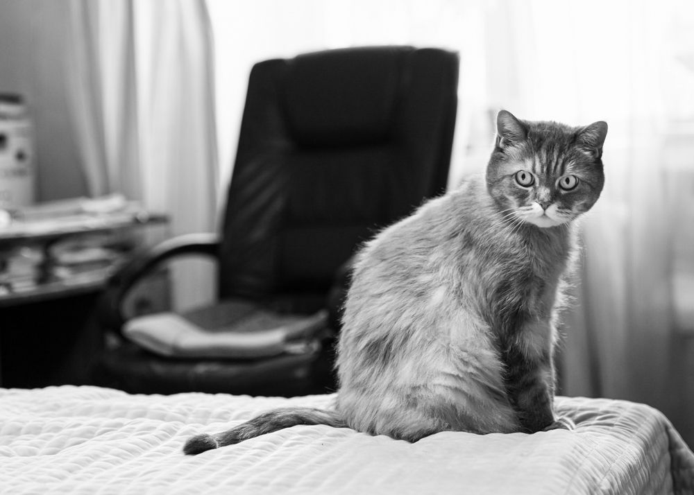 Ты опять уходишь?