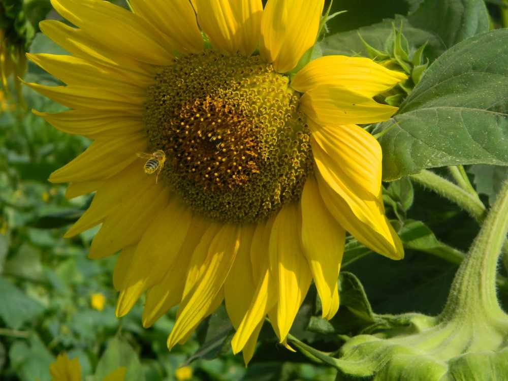 Photograph by Иван Крылов