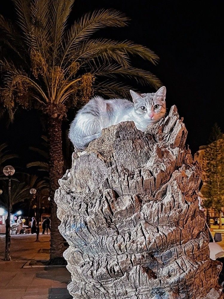 Photograph by Iuliia Akhulkova