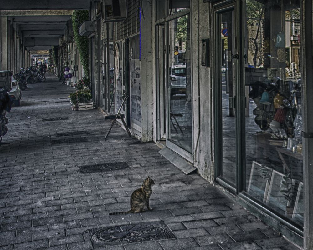 Ценитель высокого искусства