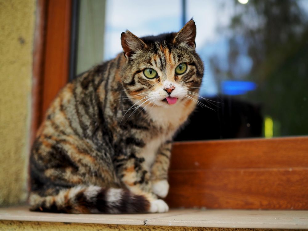 Photograph by андрей гусев