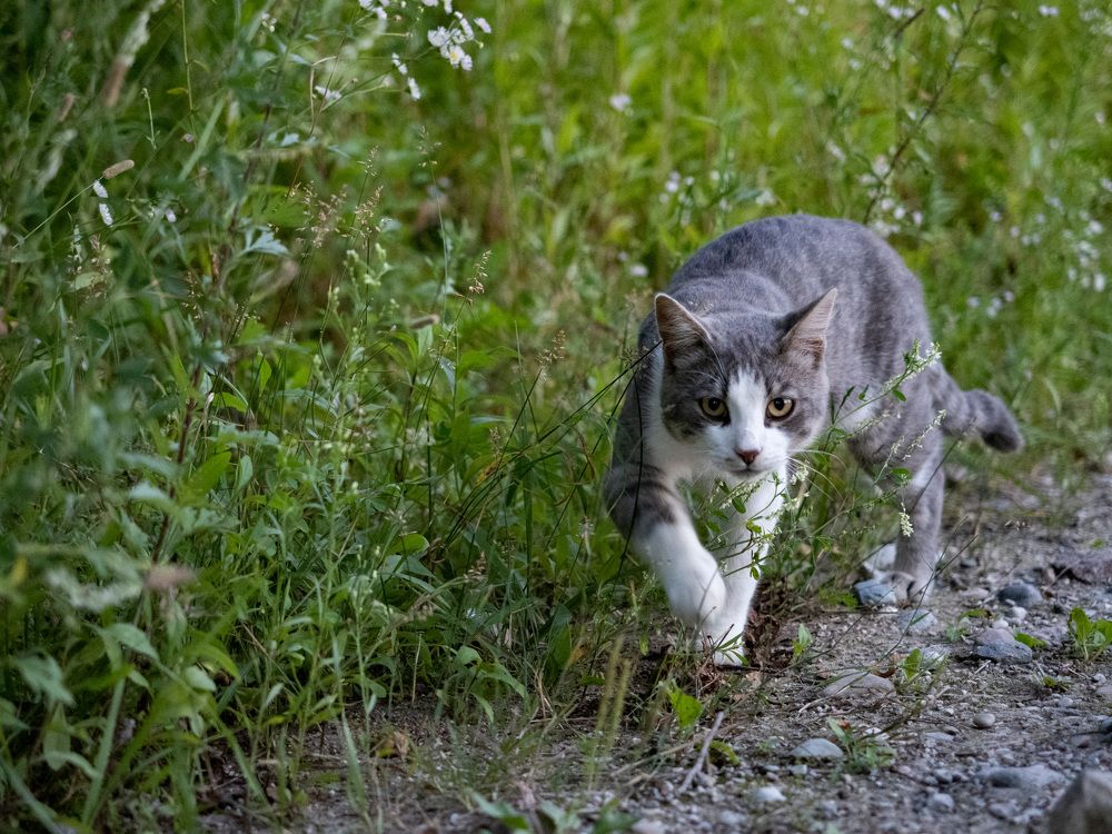 Photograph by андрей гусев