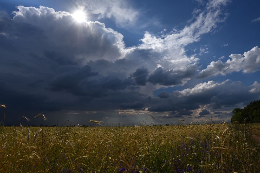 Перед грозой.
