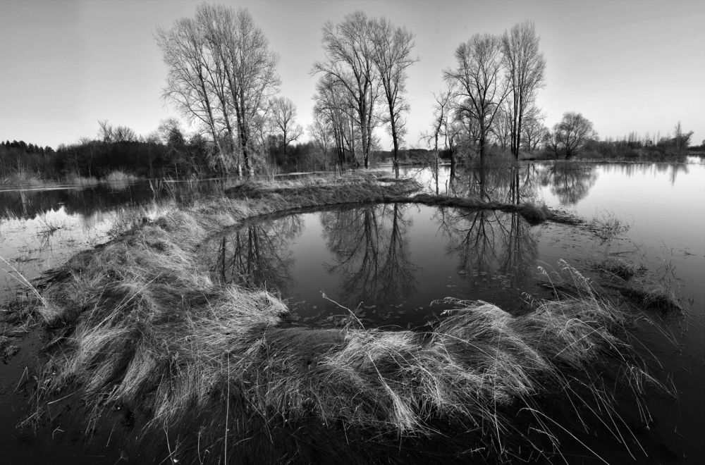 Photograph by Андрей Зыкин