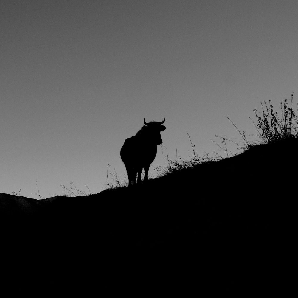 Photograph by Виктор Чернышов