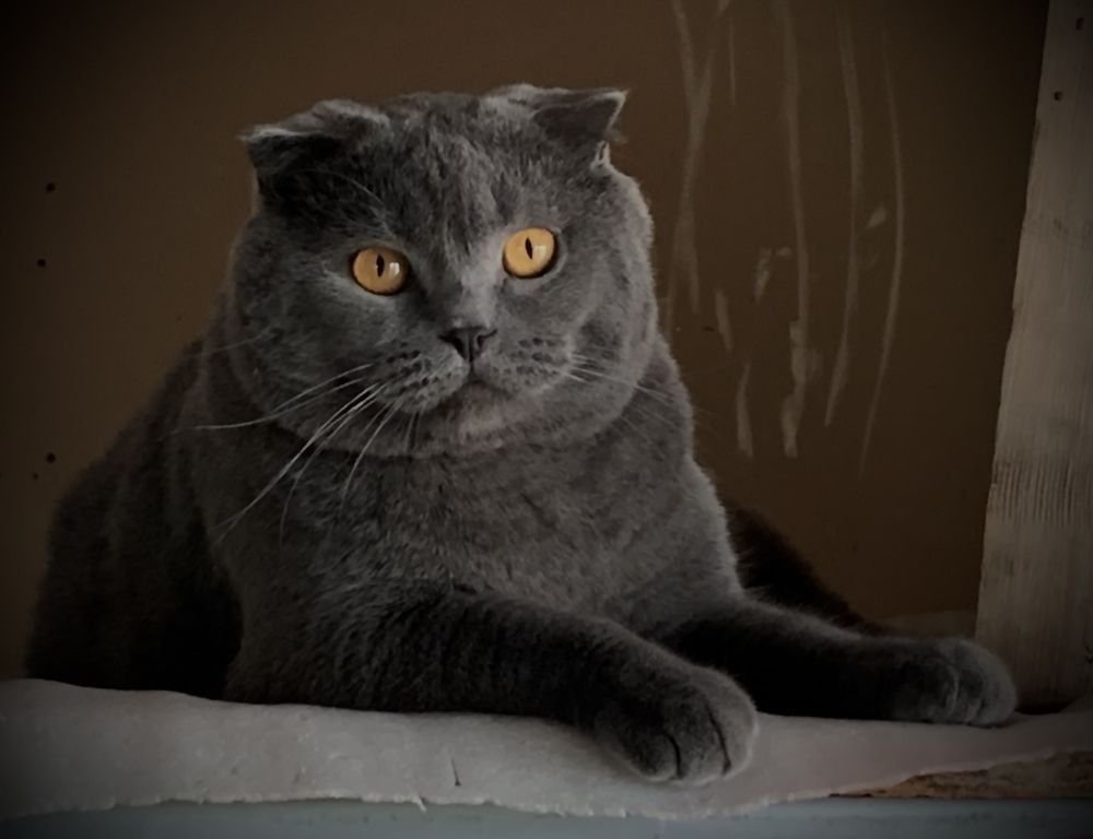 Photograph by Хавронина Марина