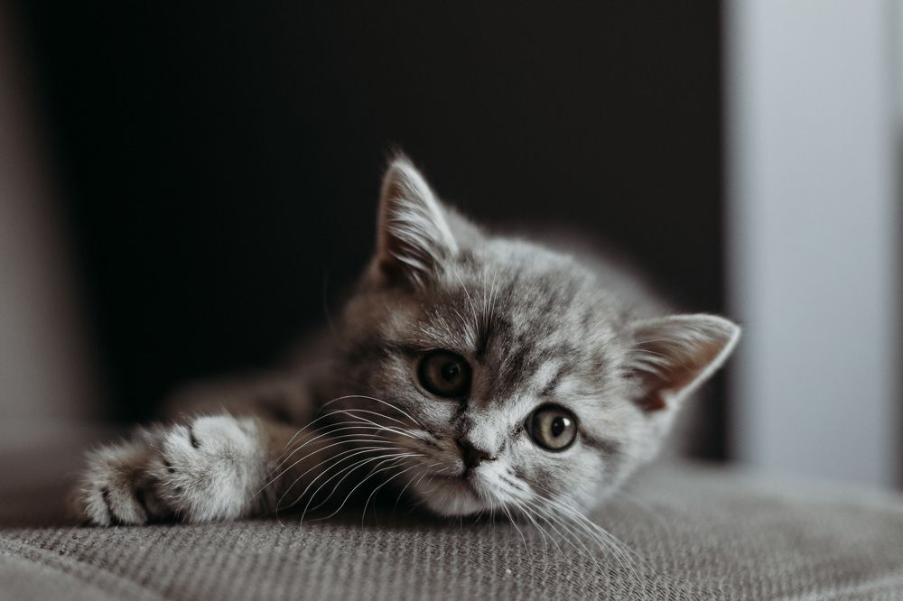 Photograph by Инесса Юровских