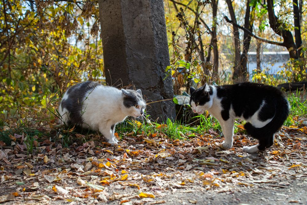 Photograph by Юрий Клишин