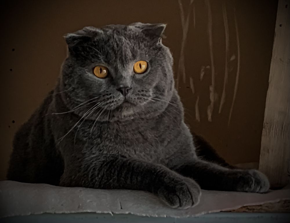 Photograph by Хавронина Марина