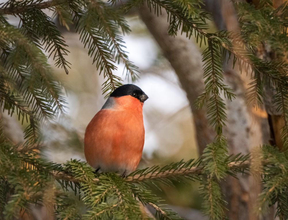 Photograph by Наталья Королева