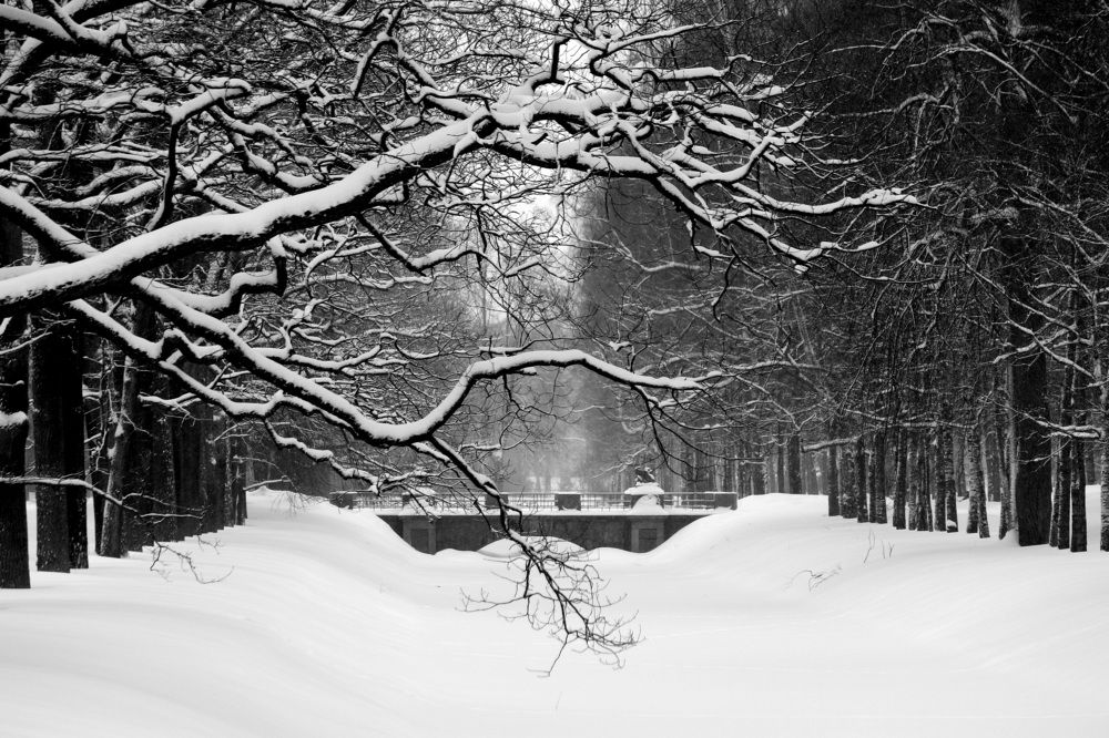 Photograph by Елена Николаева