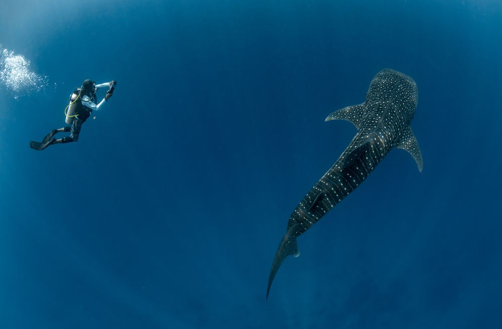 Photograph by Савин Андрей