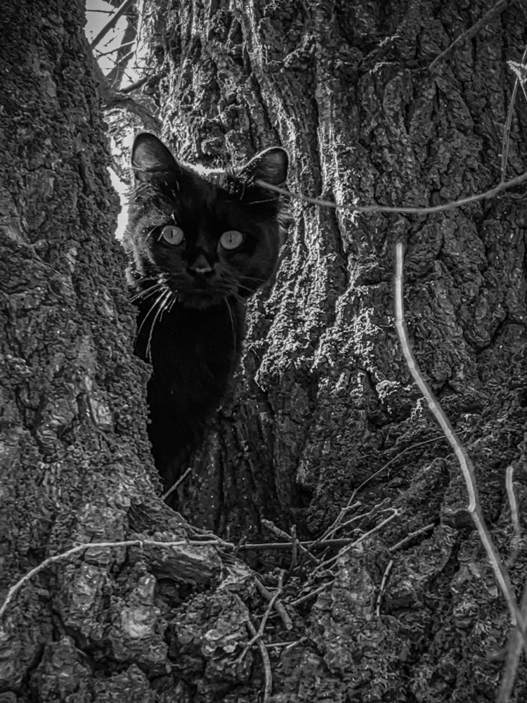 Photograph by Хавронина Марина