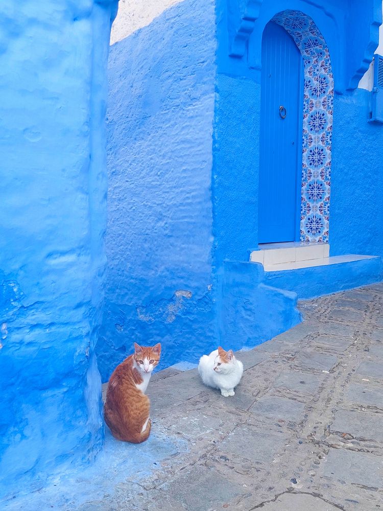 Photograph by Yuliya Salnikova