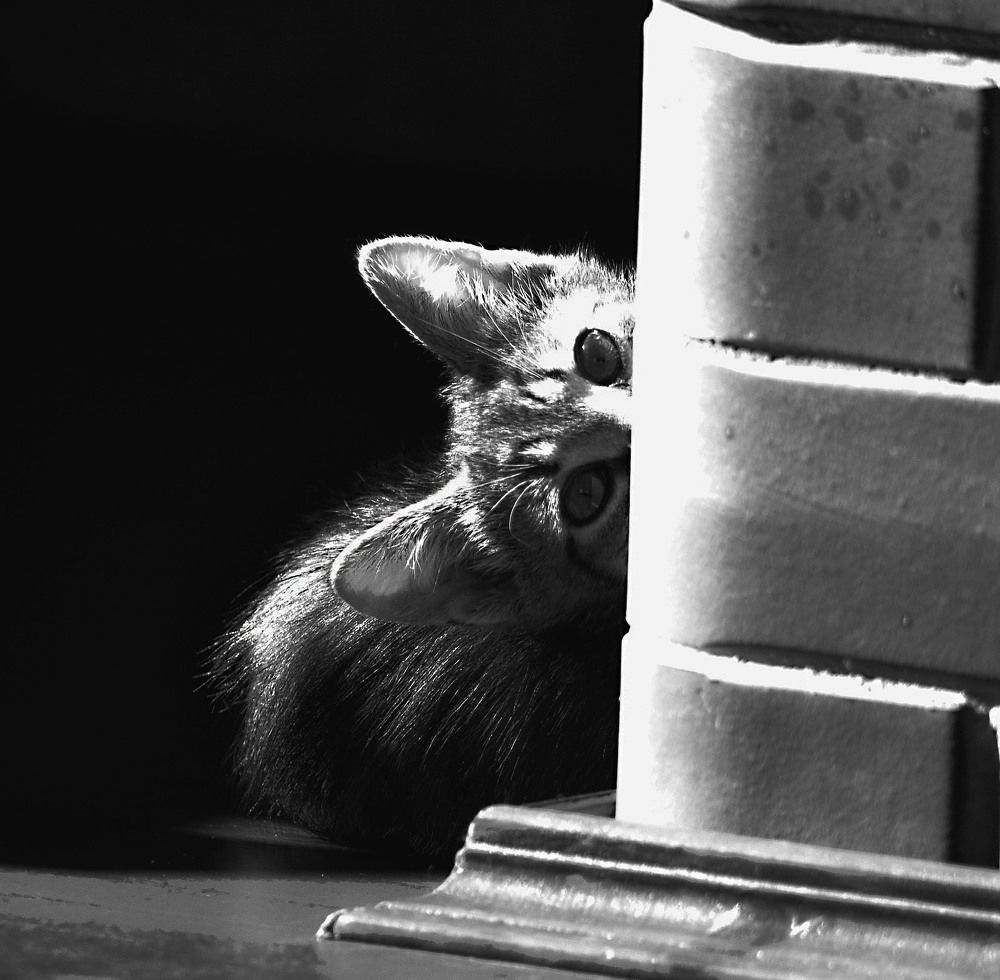 Фотография автора Людмила Капустина