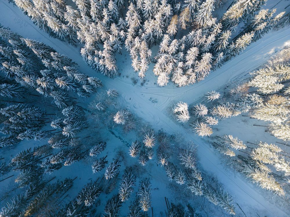 Photograph by Filip Micunda