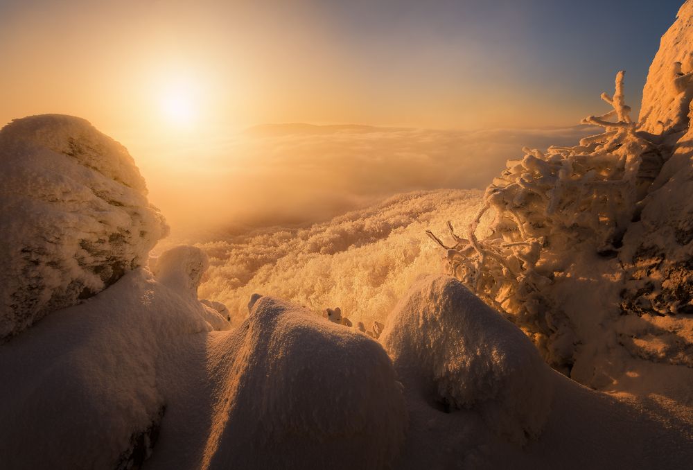 Misty morning at the castle